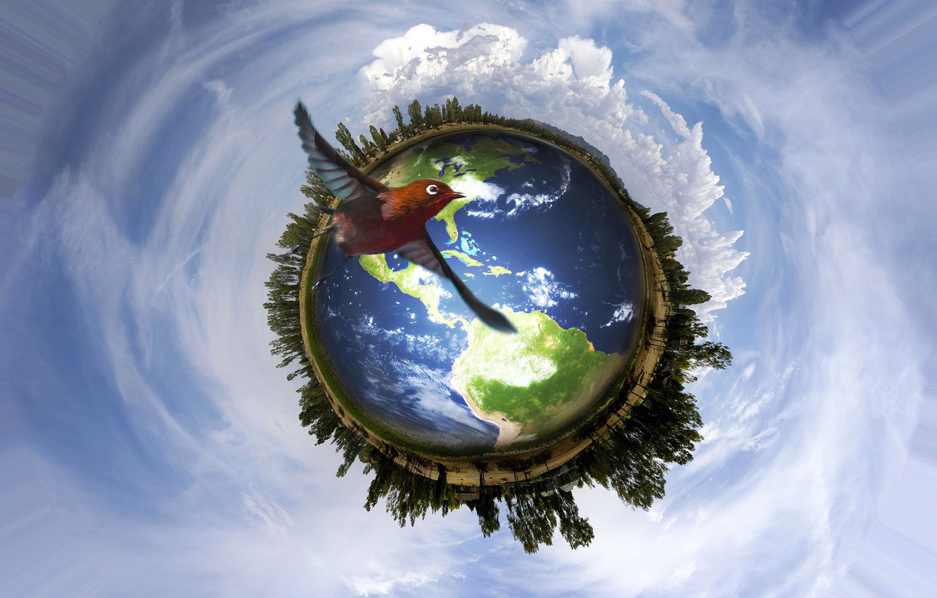 Photo Wallpaper Earth, Peace, Sky, Nature, Bird, Save - World - HD Wallpaper 