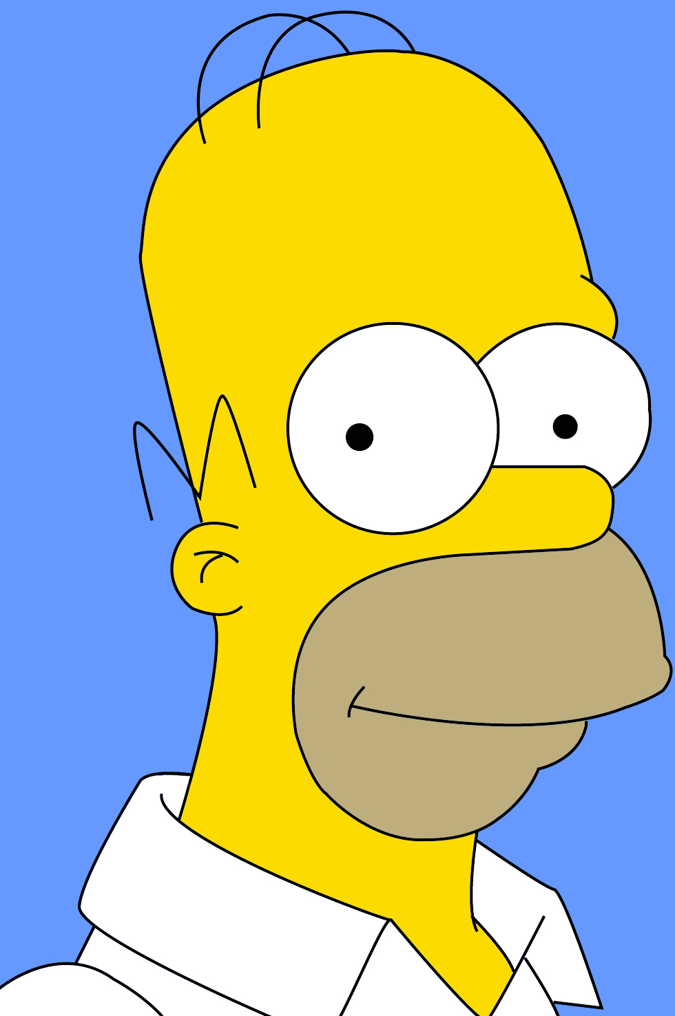 Homer Simpson - Cabeça Do Homer Simpson - HD Wallpaper 