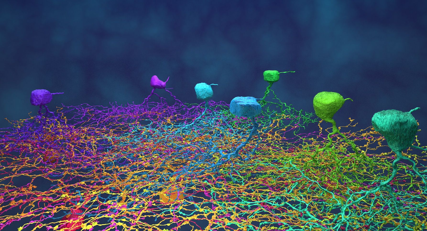 Laptop Desktop Backgrounds - HD Wallpaper 