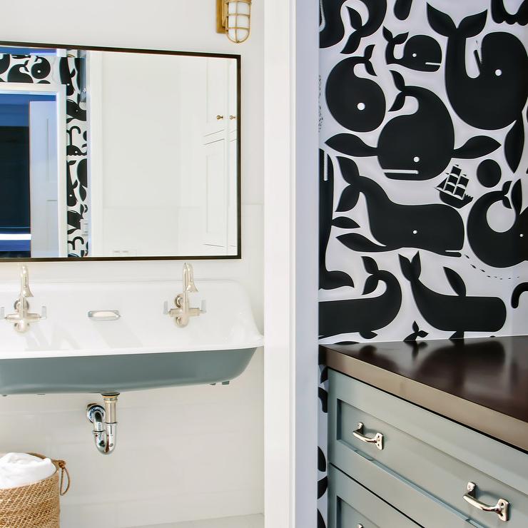 Whale - HD Wallpaper 