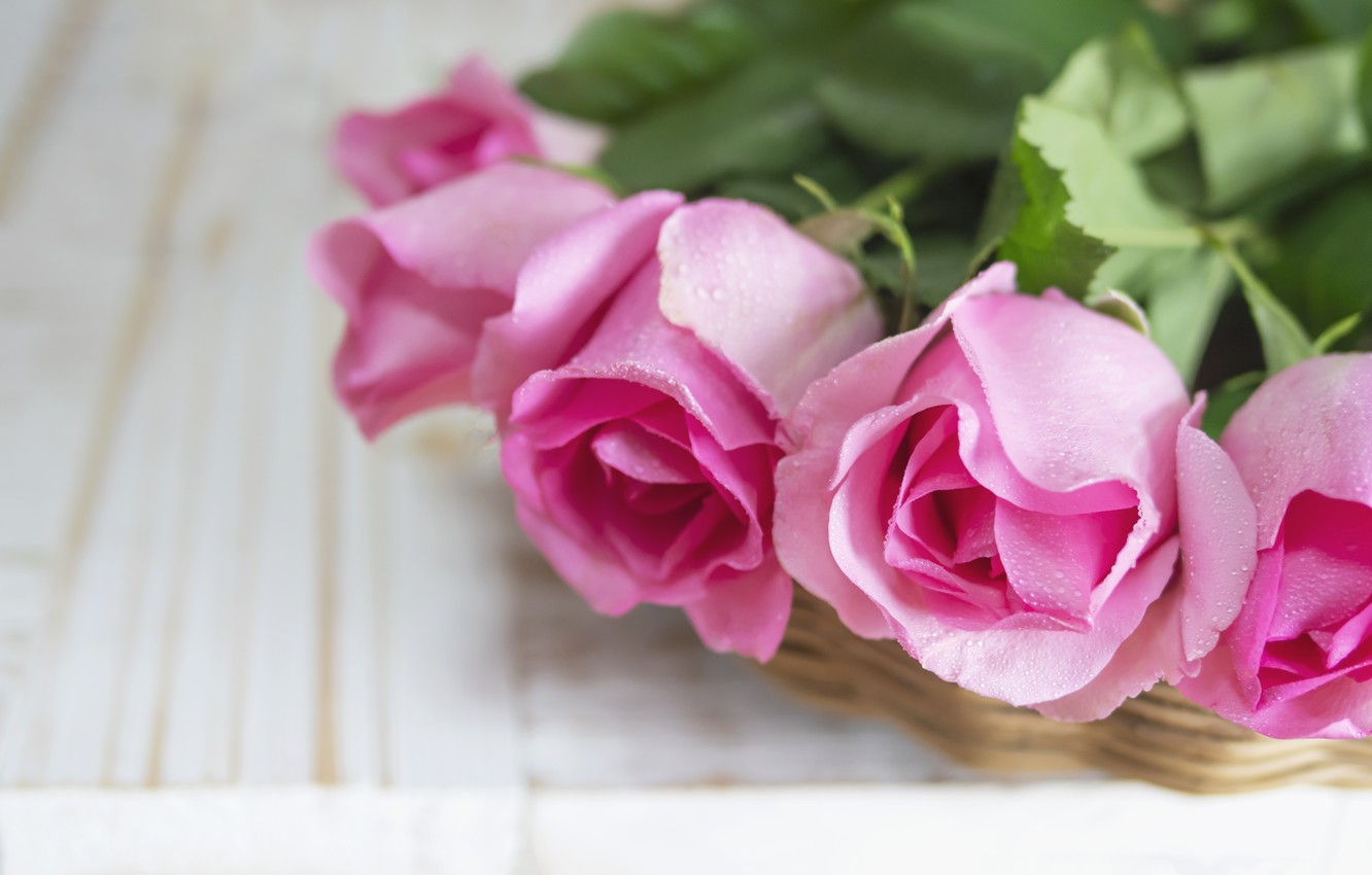 Photo Wallpaper Roses, Bouquet, Pink, Beautiful, Pink, - Hybrid Tea Rose - HD Wallpaper 