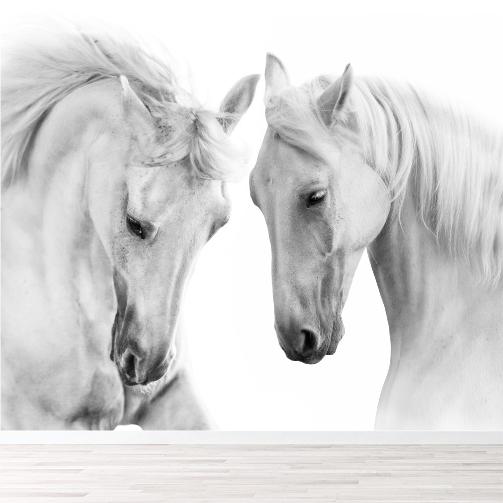 White Horse Close Ups - HD Wallpaper 