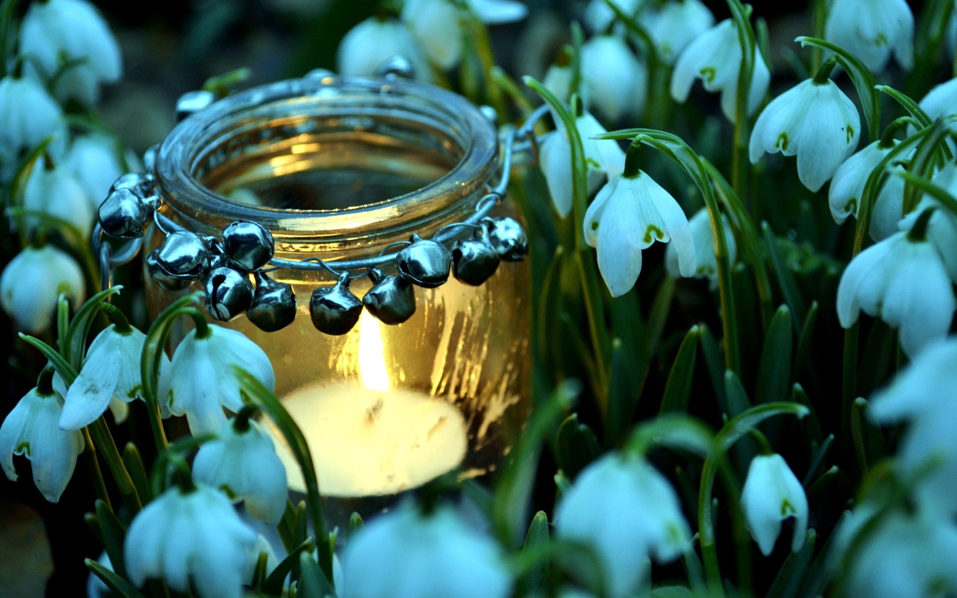 Pretty Backgrounds Wallpapers, Pretty Photos And Pictures - Snowdrops And Candles - HD Wallpaper 