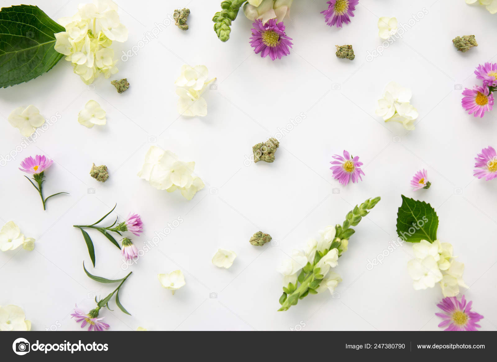 Flores Fondo De Pantalla Primavera - HD Wallpaper 