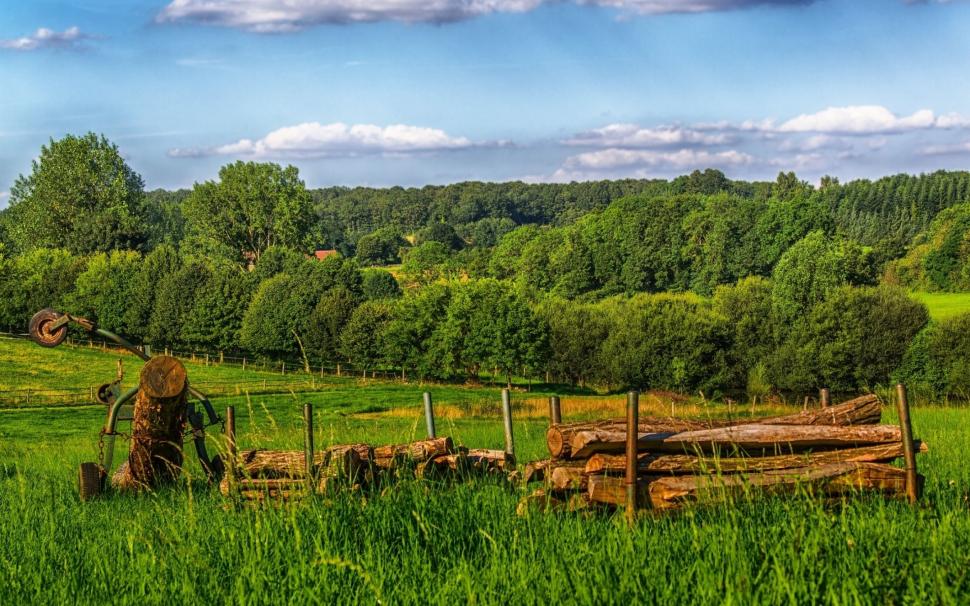 Gorgeous Field Wallpaper,nature Hd Wallpaper,1920x1200 - Grass - HD Wallpaper 