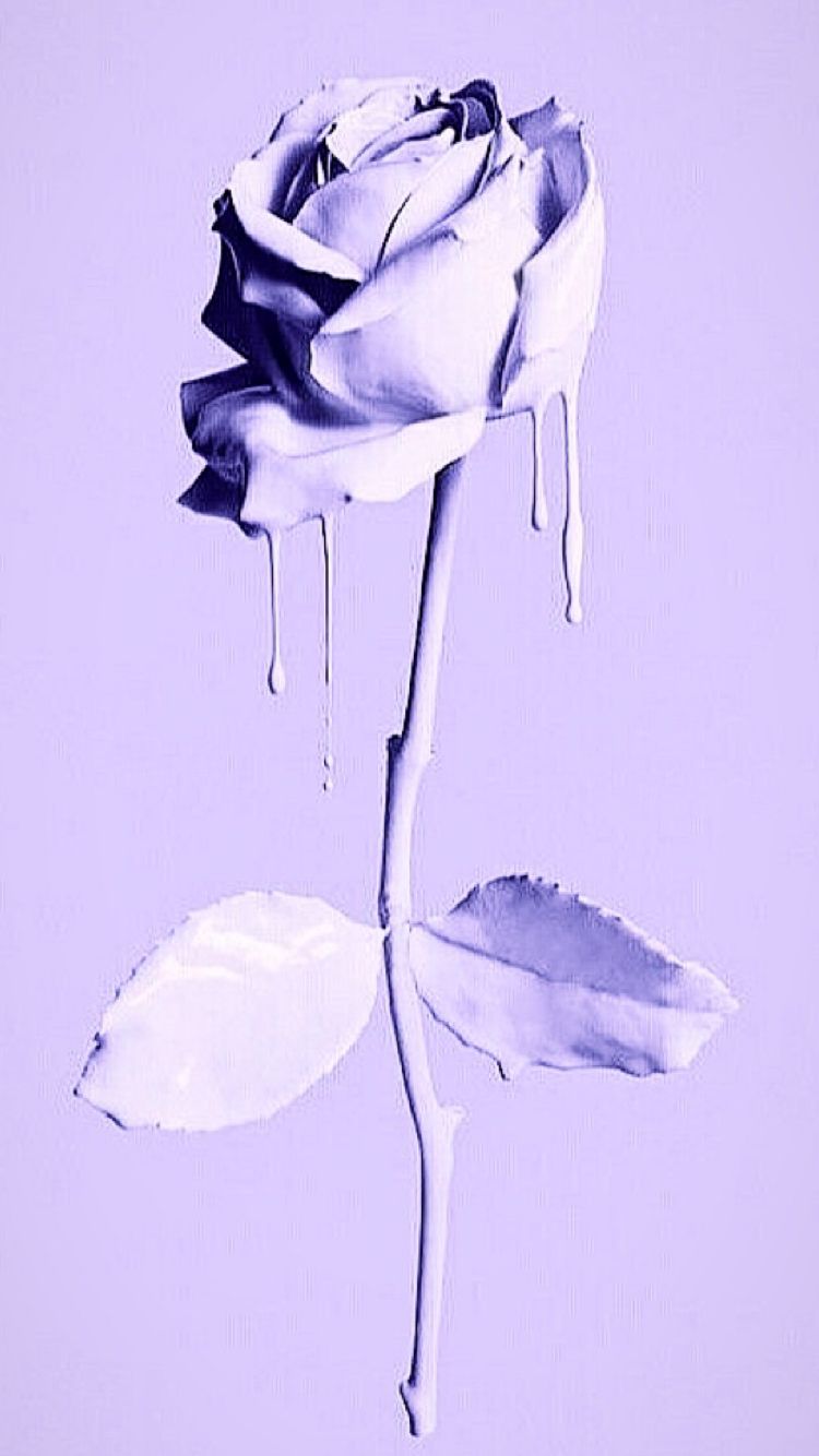 Classy Pink Wallpaper Paris - HD Wallpaper 