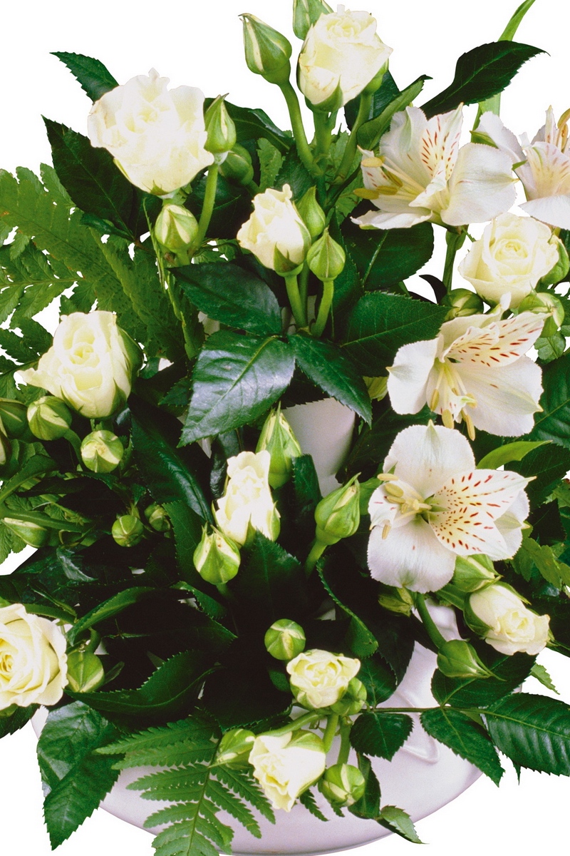 Wallpaper Roses, Lilies, White, Flowers, Greenery, - Jute Planter Bags - HD Wallpaper 