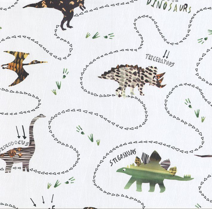 Tapety Ścienne W Dinozaury - HD Wallpaper 