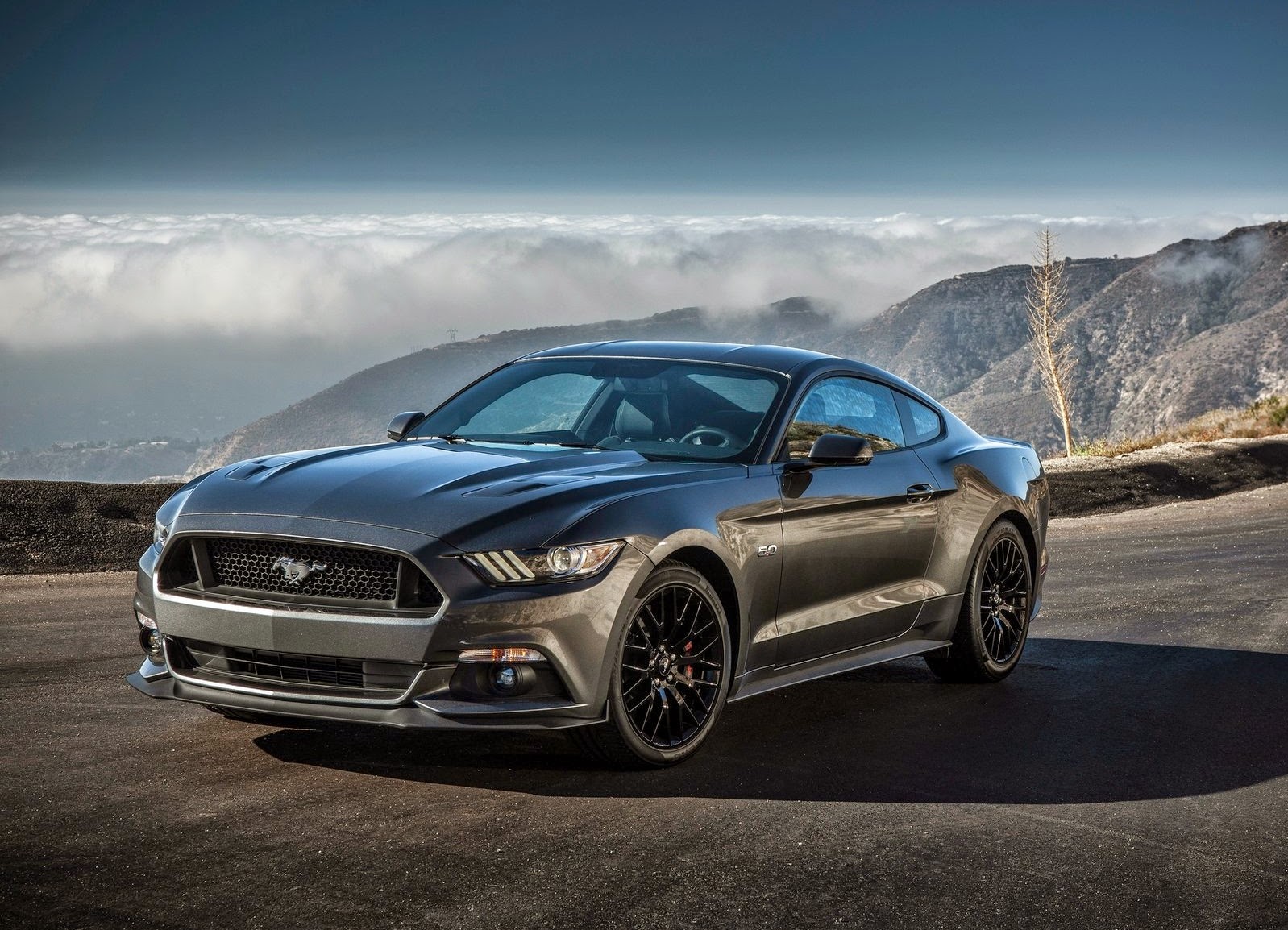 Ford Mustang Gt 2016 Wallpaper Hd 1598x1154 Wallpaper Teahub Io