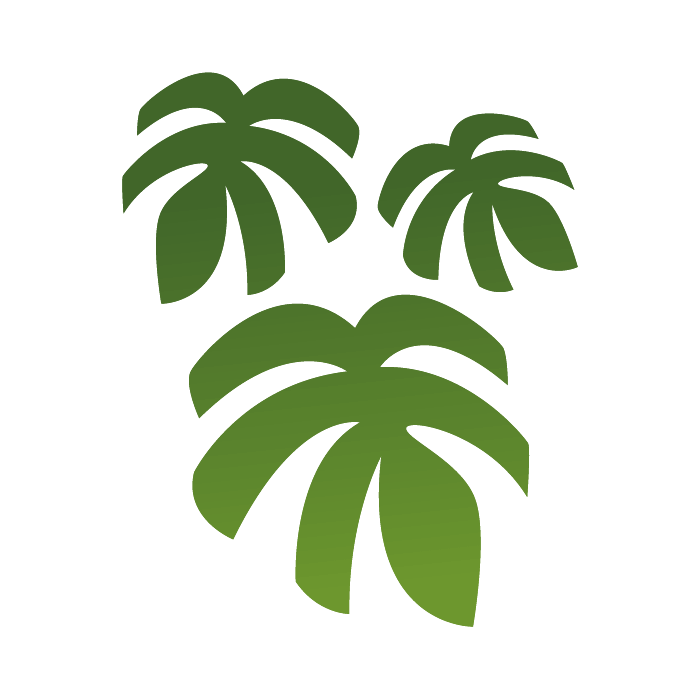 Tropical Rainforest Sticker - HD Wallpaper 