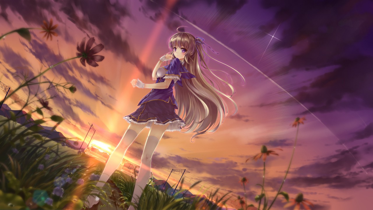 Girl Purple Clothes Field Dusk Wallpapers - Anime Girl In Field - HD Wallpaper 