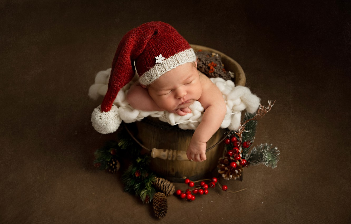 Photo Wallpaper Berries, Background, Christmas, Bucket, - Baby - HD Wallpaper 