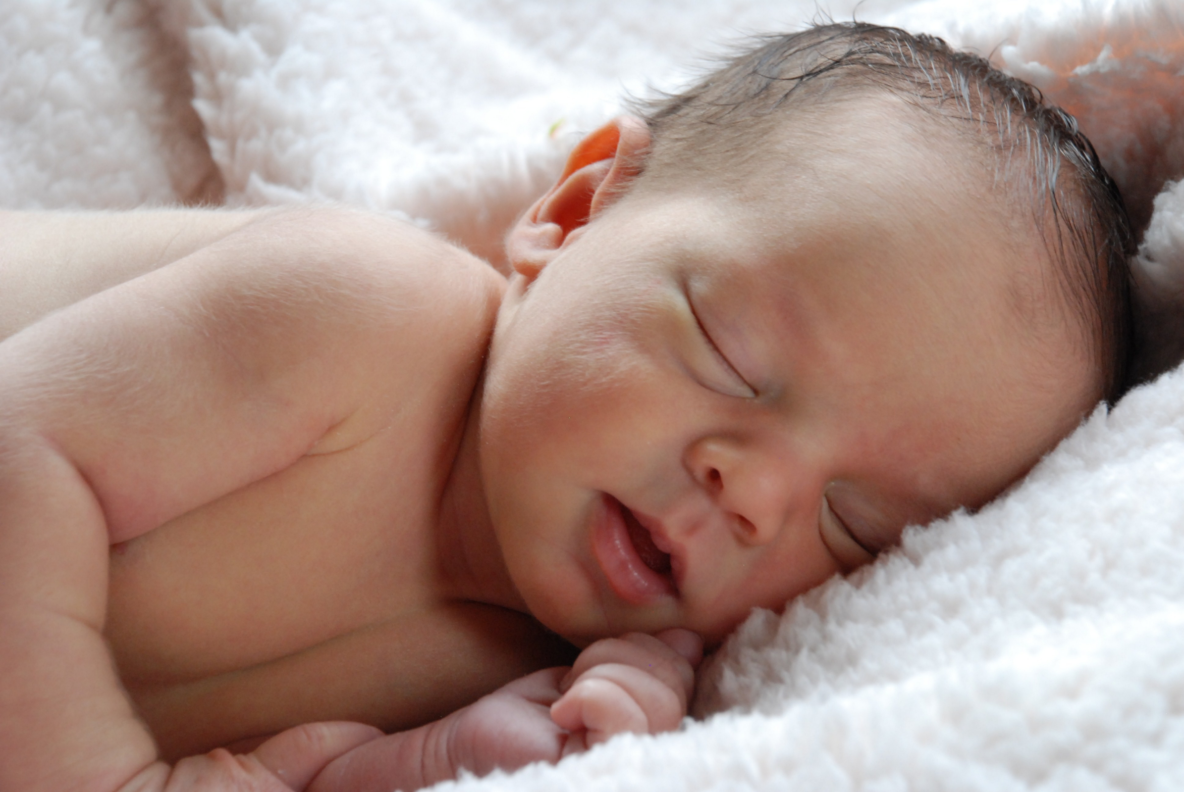 Newborn Baby Lds - HD Wallpaper 