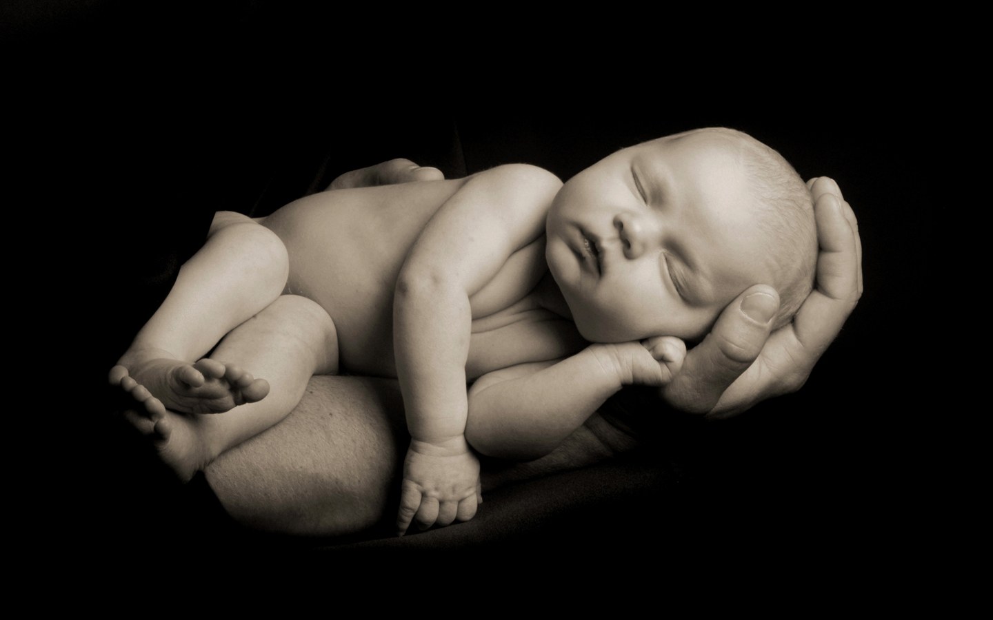 Children & Baby Photography - Newborn Baby In Hands - HD Wallpaper 