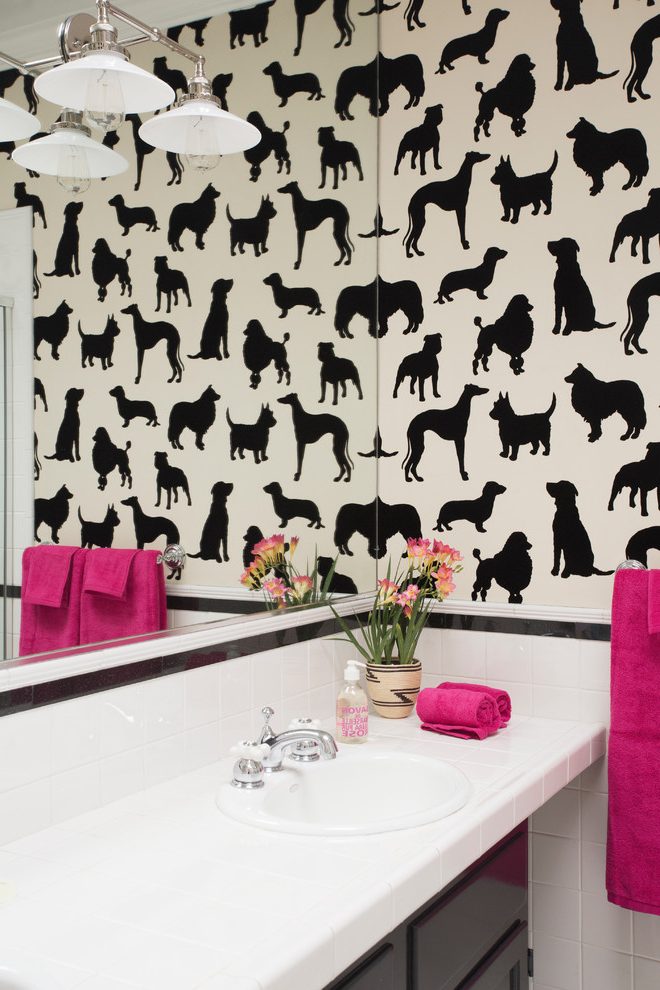 Best In Show - HD Wallpaper 