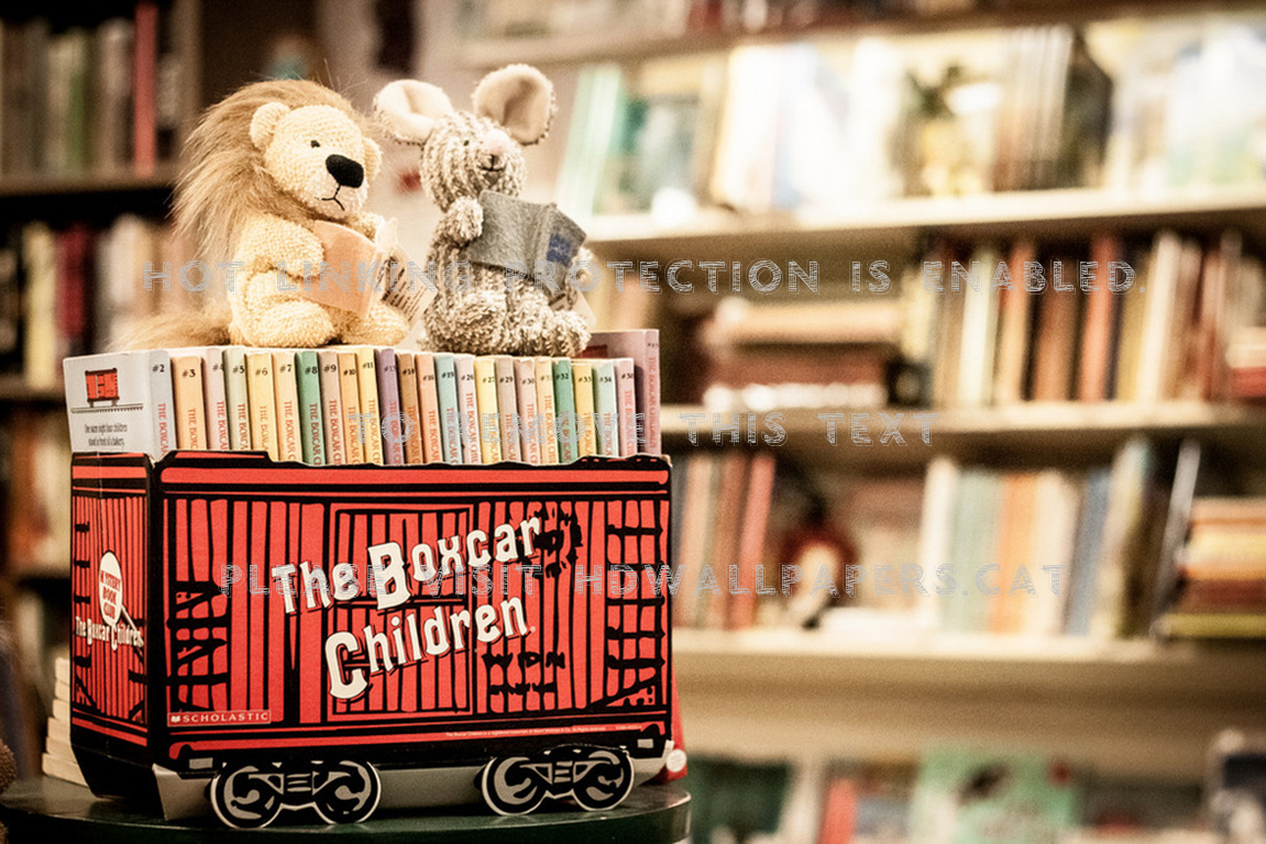 *vintage Childrens Books* Lion Library Toys - Teddy Bear - HD Wallpaper 