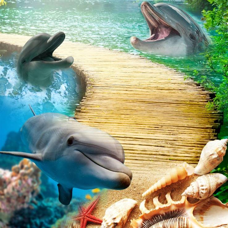 3d Custom Wallpaper Lantai - Dolphins Environment - HD Wallpaper 