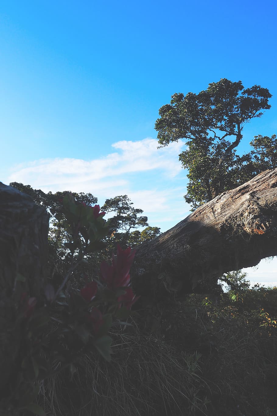 Mountain, Cikuray, Hiking, Adventure, West Java, Indonesia, - Mountain - HD Wallpaper 