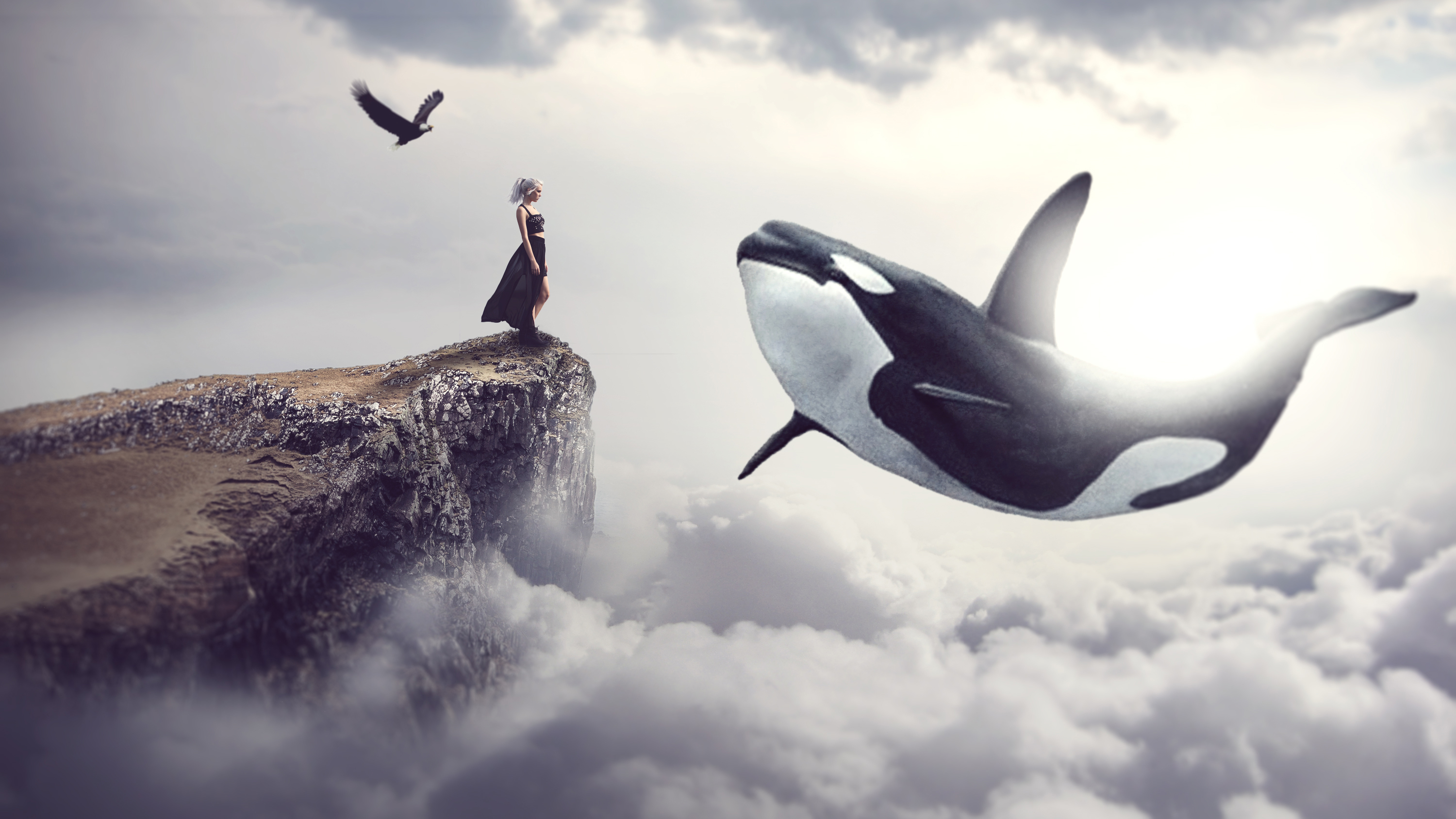 Imac Wallpaper Killer Whale 3000x1688 Wallpaper Teahub Io