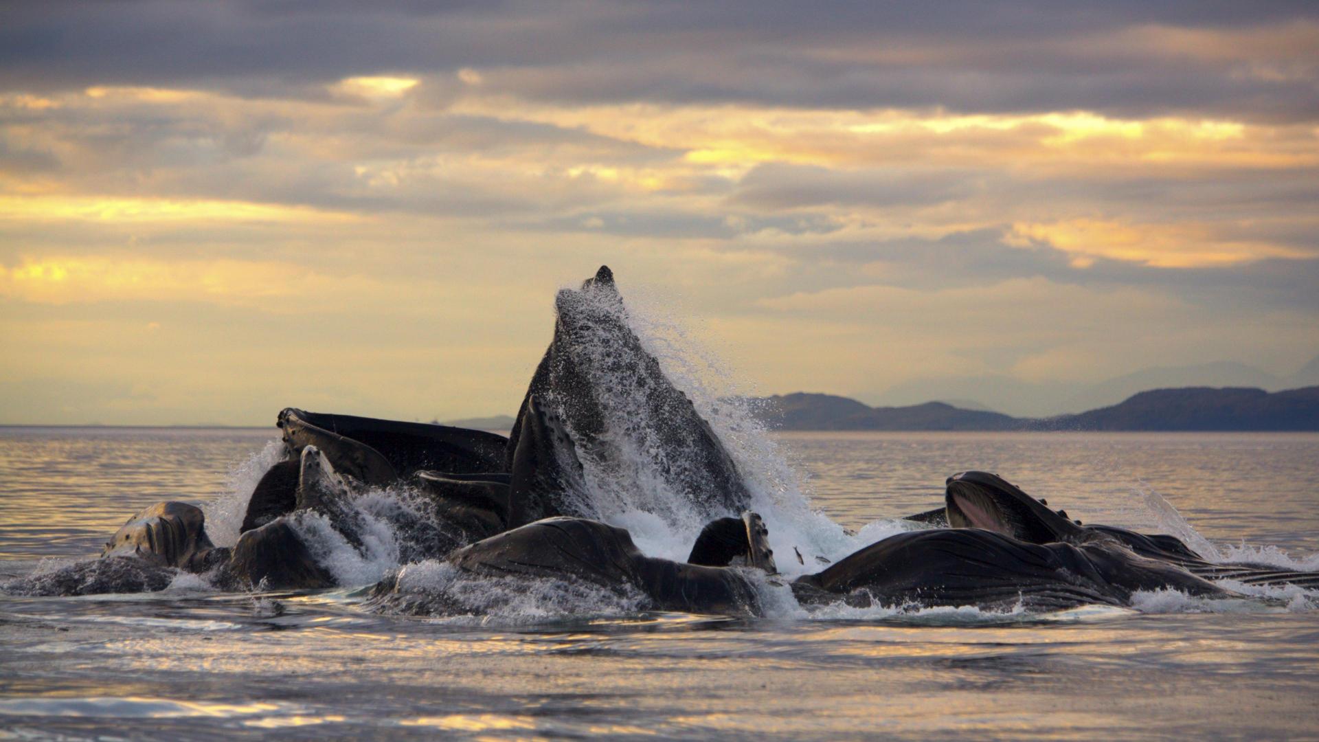 Landscape Mar - HD Wallpaper 