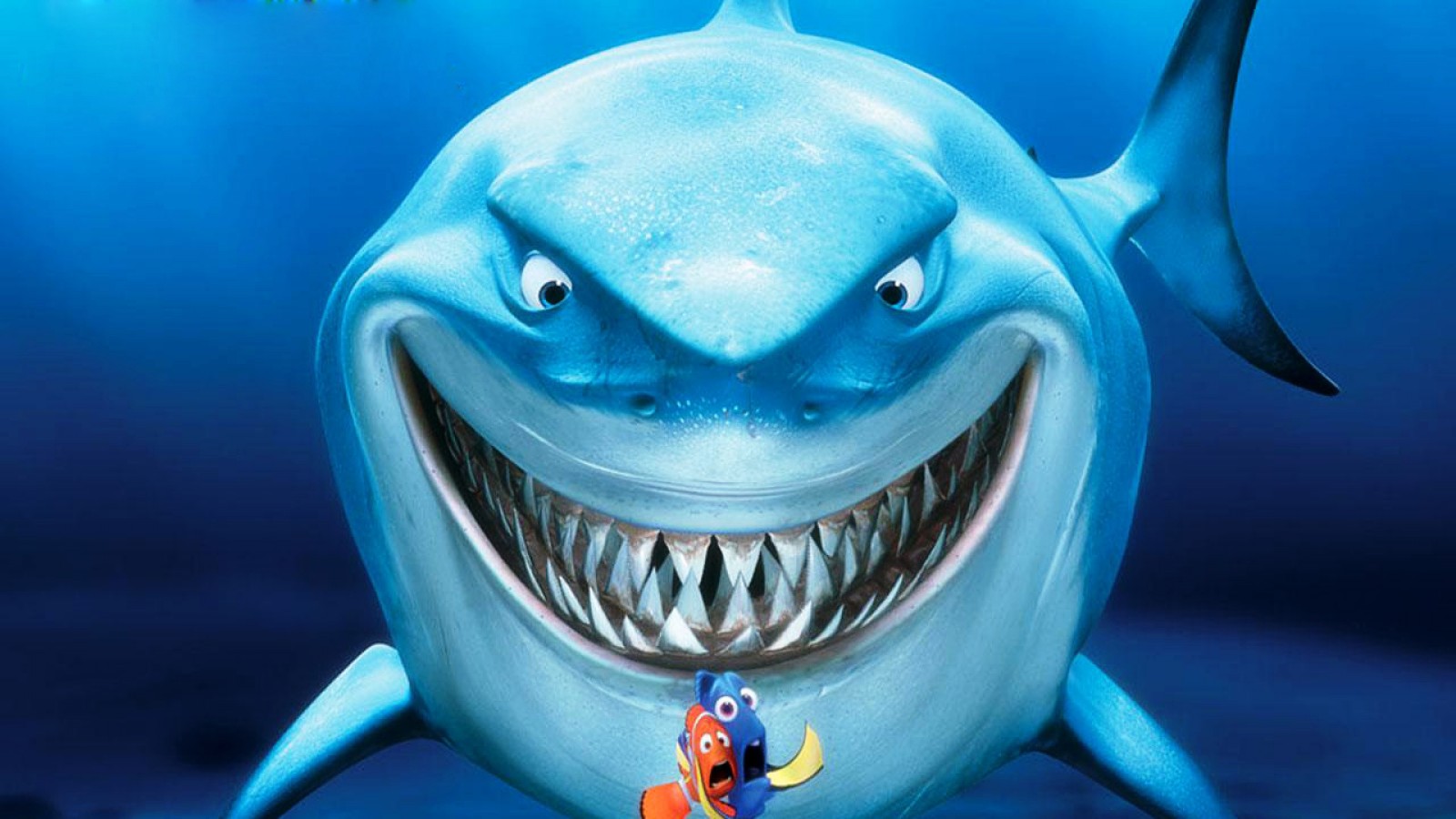 Shark From Nemo Smiling - HD Wallpaper 
