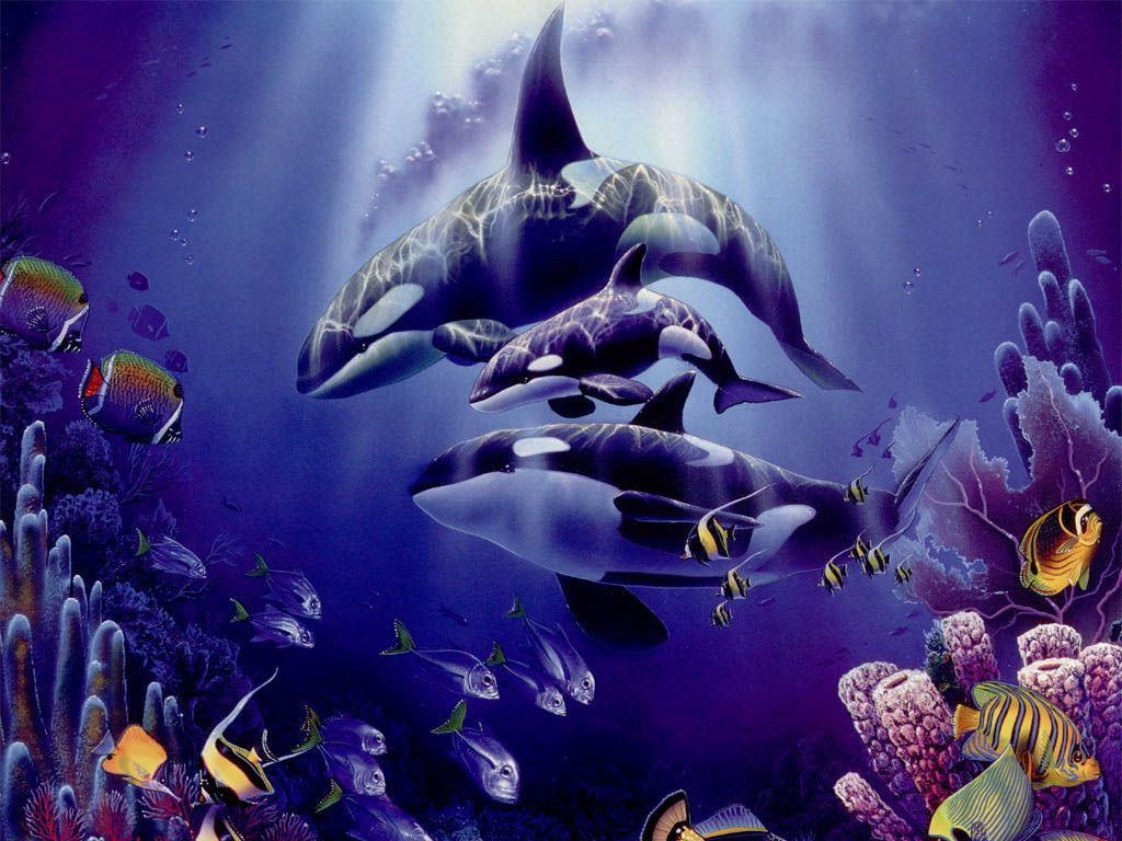 Orcas - Quinto Dia De La Creación - HD Wallpaper 