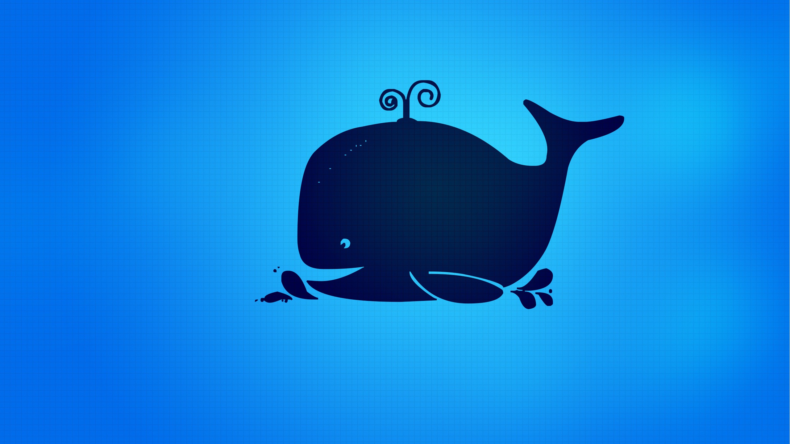 2560 X 1440 Narwhal - HD Wallpaper 