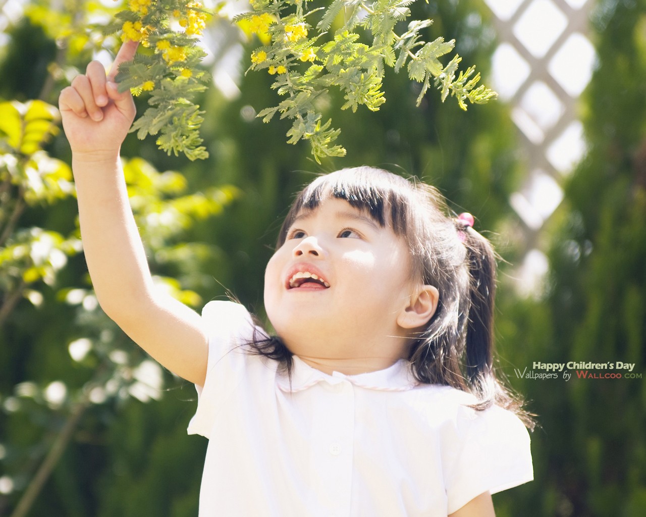 Lovely Kids, Asian Children Photography, Asian Children - Lovely Children - HD Wallpaper 