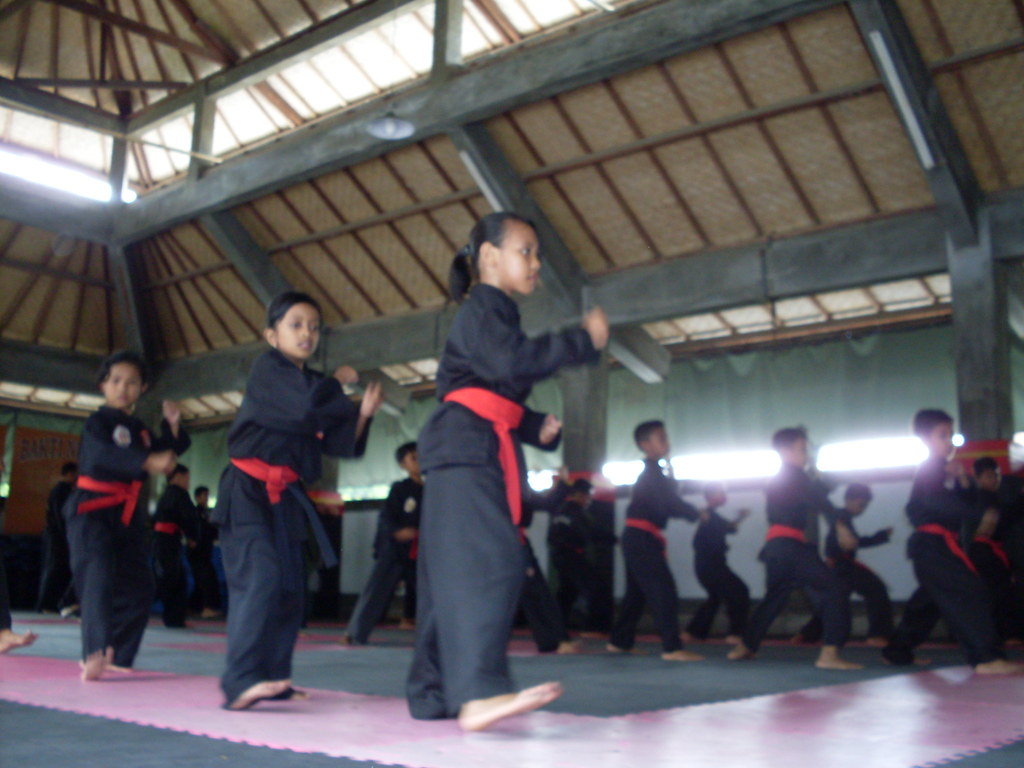 Kajukenbo - HD Wallpaper 