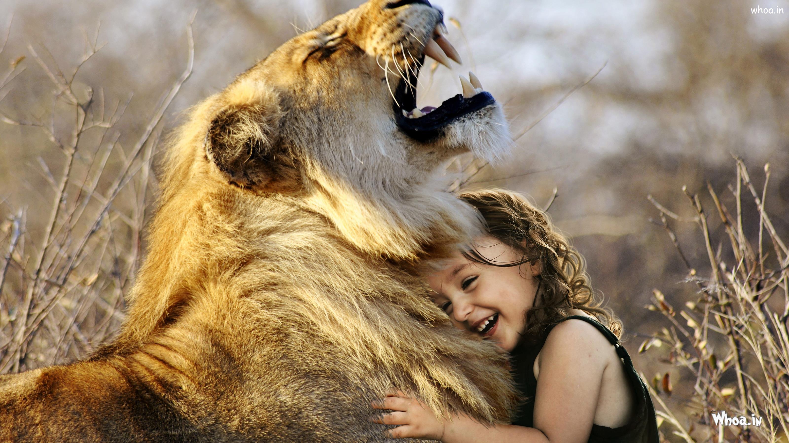 Cute Child Girl Playing With Lion Photoshoot Hd Wallpaper - Cute Girl With Lion - HD Wallpaper 