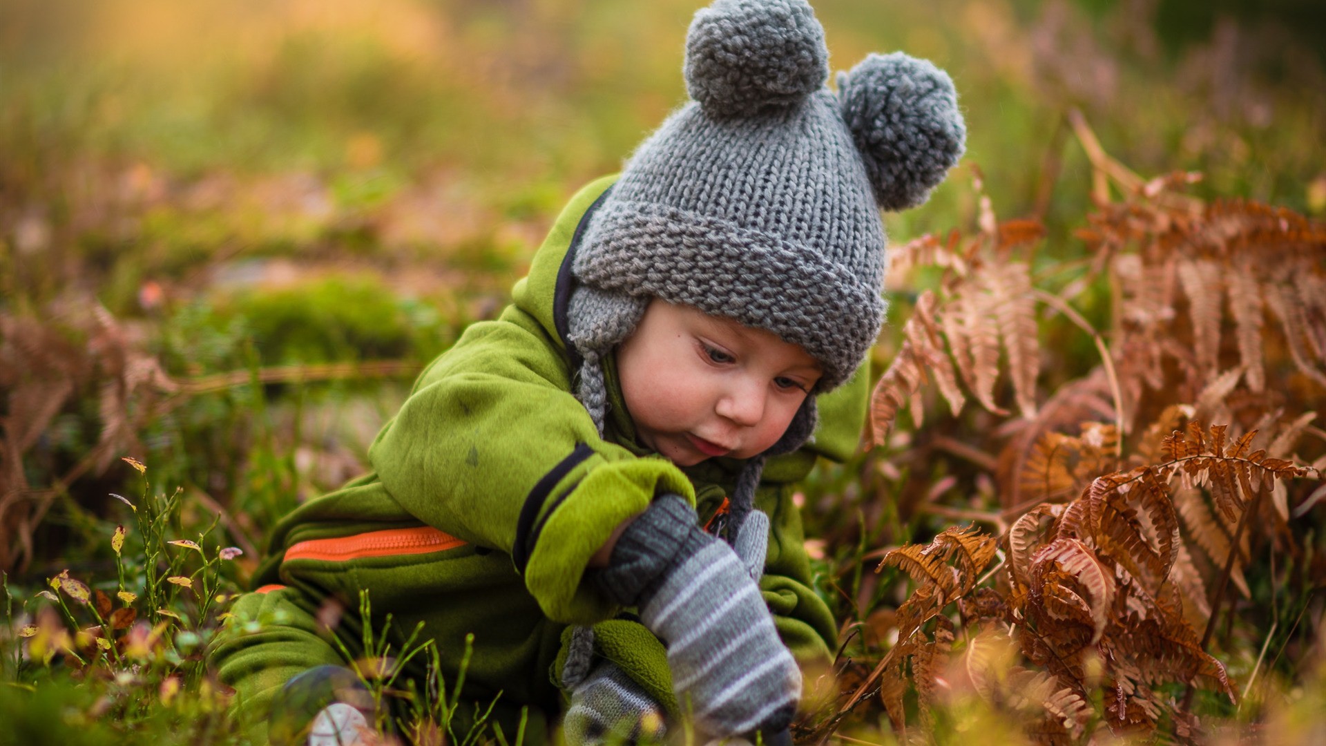 Lovely Baby Boy Seating In Garden Hd Wallpapers - Lovely Boy Full Hd - HD Wallpaper 