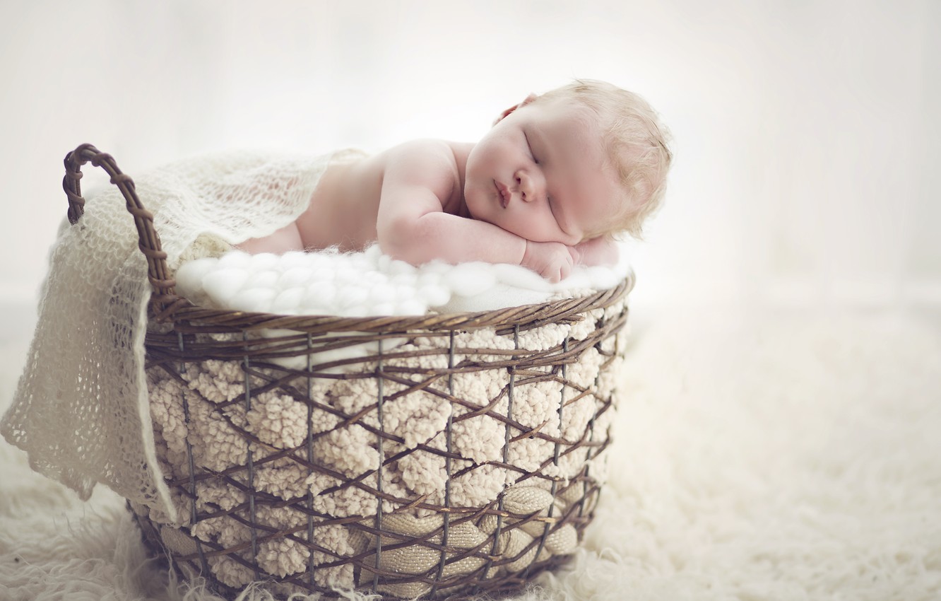 Photo Wallpaper Basket, Sleep, Baby, Cute, Baby - Baby - HD Wallpaper 