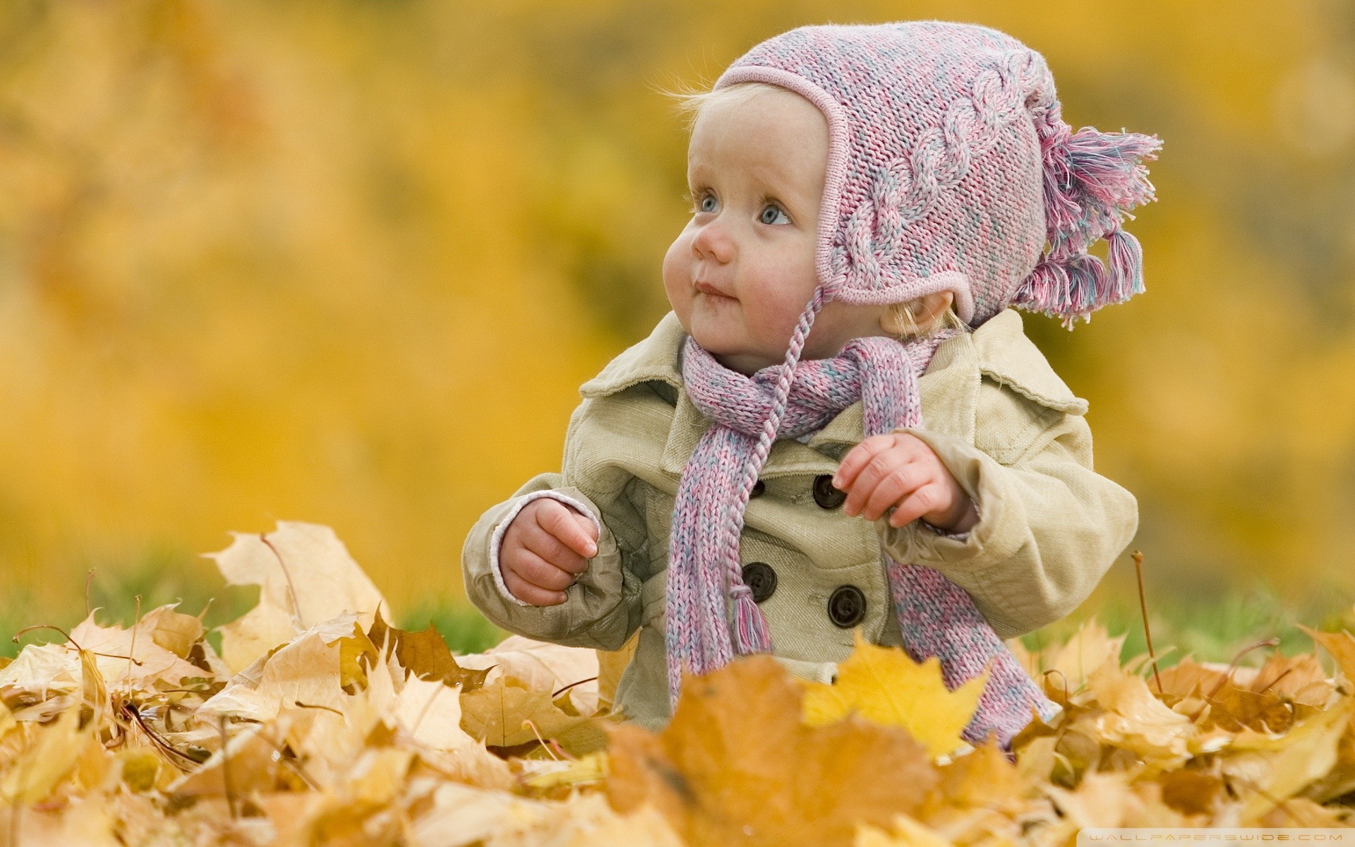 Wide 
 Data-src /w/full/0/d/5/327396 - Autumn Baby - HD Wallpaper 