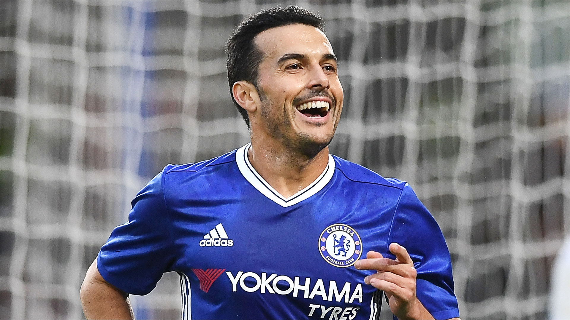 Pedro Image - Pedro Chelsea Wallpaper Hd - HD Wallpaper 