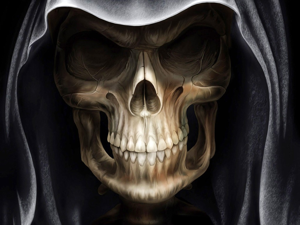 Cool Skull - HD Wallpaper 