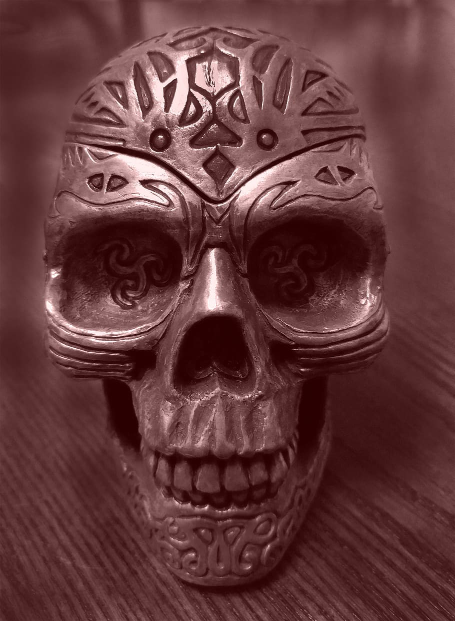 Skull - HD Wallpaper 