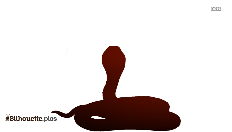 Cobra Snake Wallpaper Silhouette - HD Wallpaper 