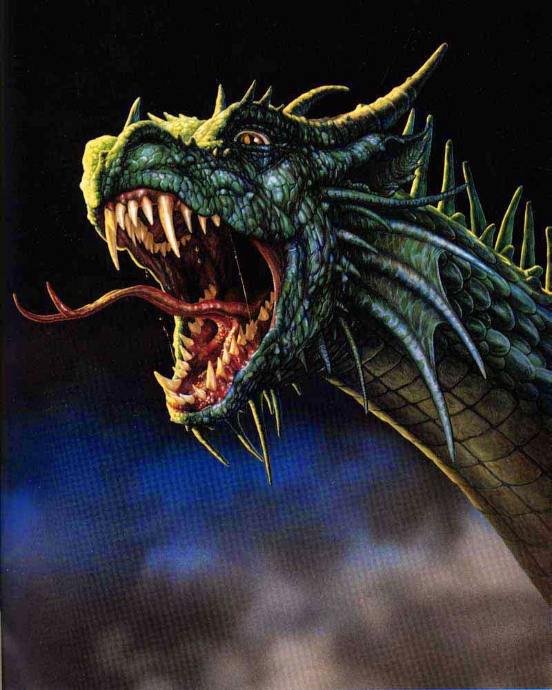 Dragon Angry - HD Wallpaper 