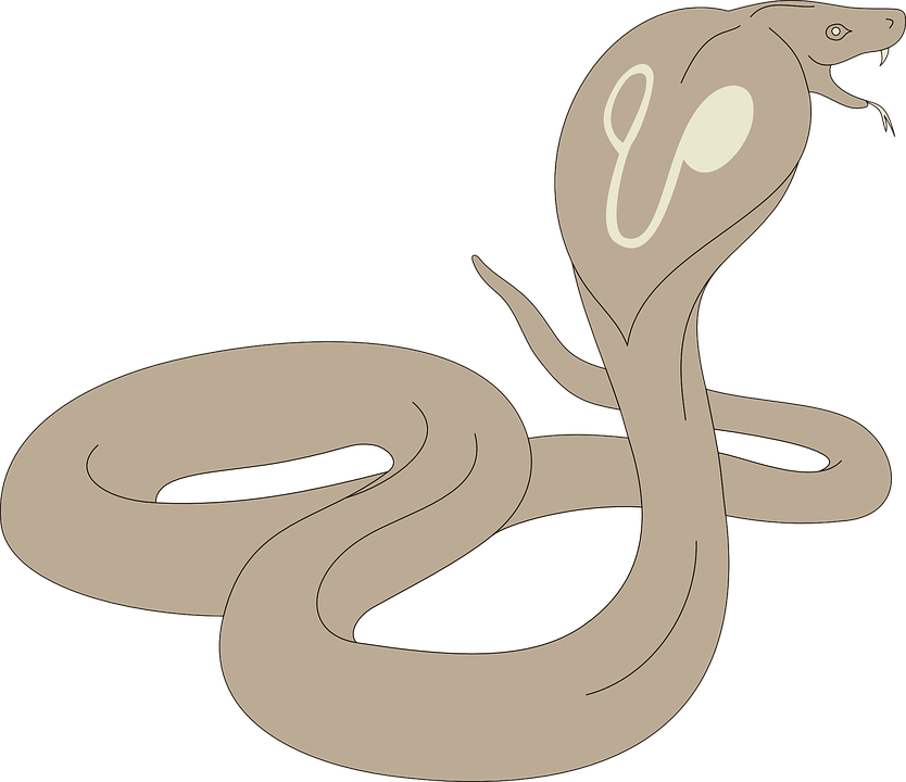 Lapiz Serpiente Dibujo De Cobra - HD Wallpaper 