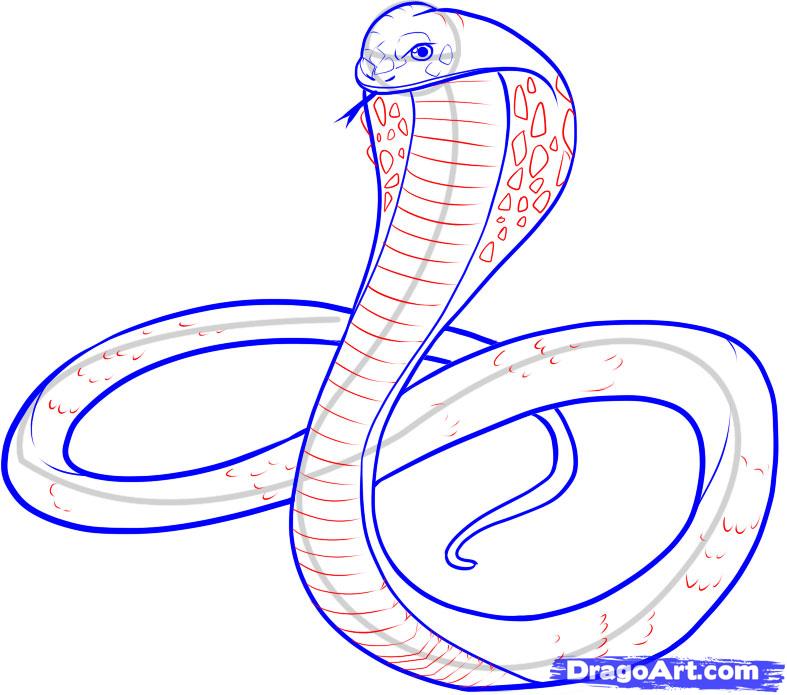 Cobra Drawings - Cool Snake Drawing Easy - HD Wallpaper 