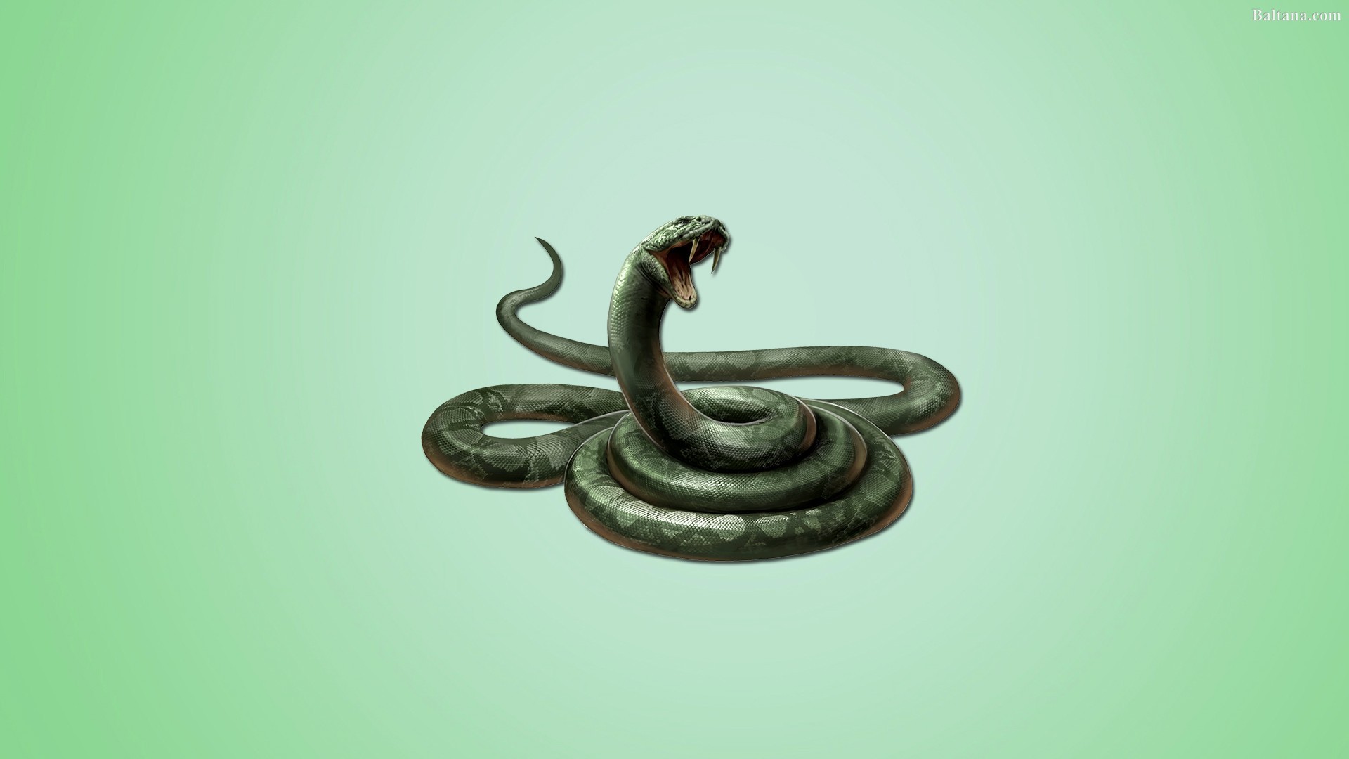 Harry Potter Alle Horkruxe - HD Wallpaper 