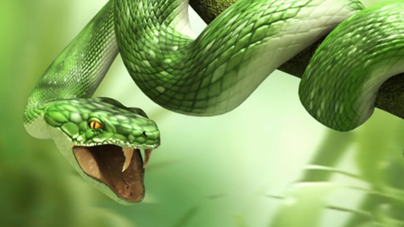 Snake Wallpapers Widescreen Download - Animals - HD Wallpaper 
