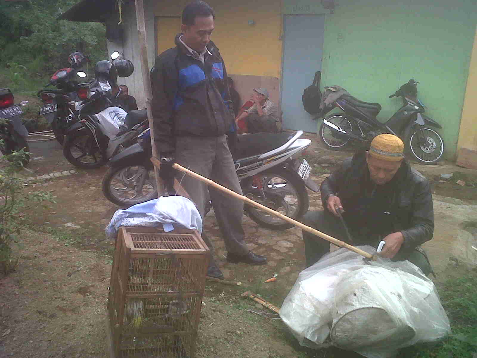 Jenis Burung Langka Di Indonesia - HD Wallpaper 