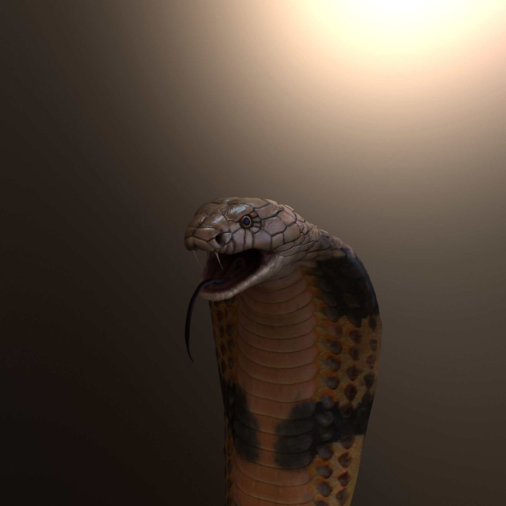 Serpent - HD Wallpaper 