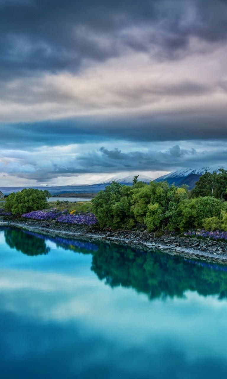 Background Nature - HD Wallpaper 