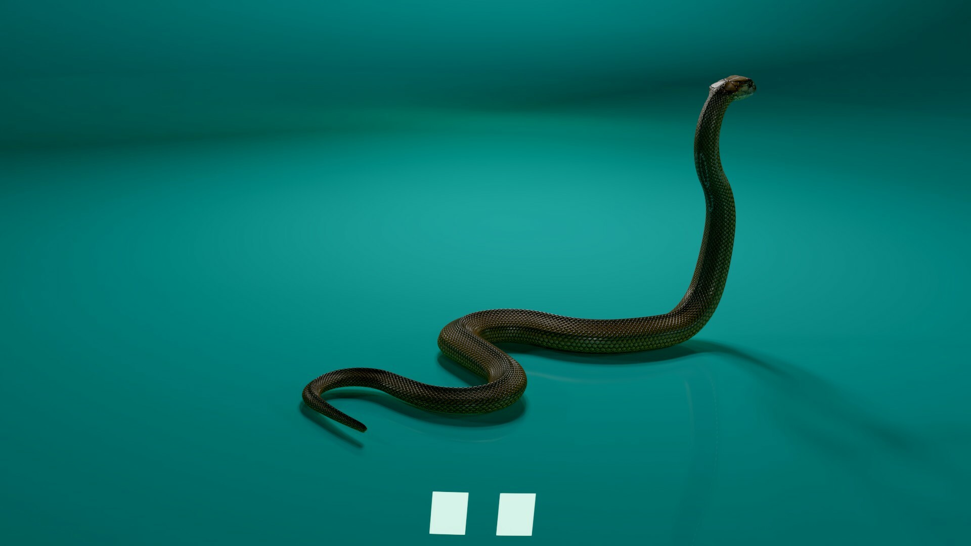 King Snake Maya Model - HD Wallpaper 
