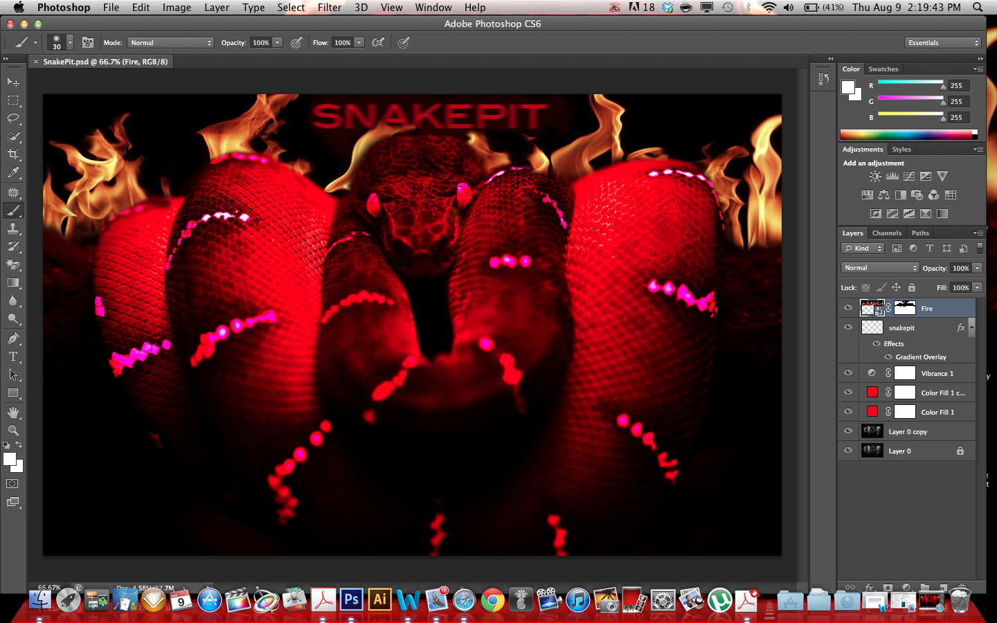 Snake - HD Wallpaper 