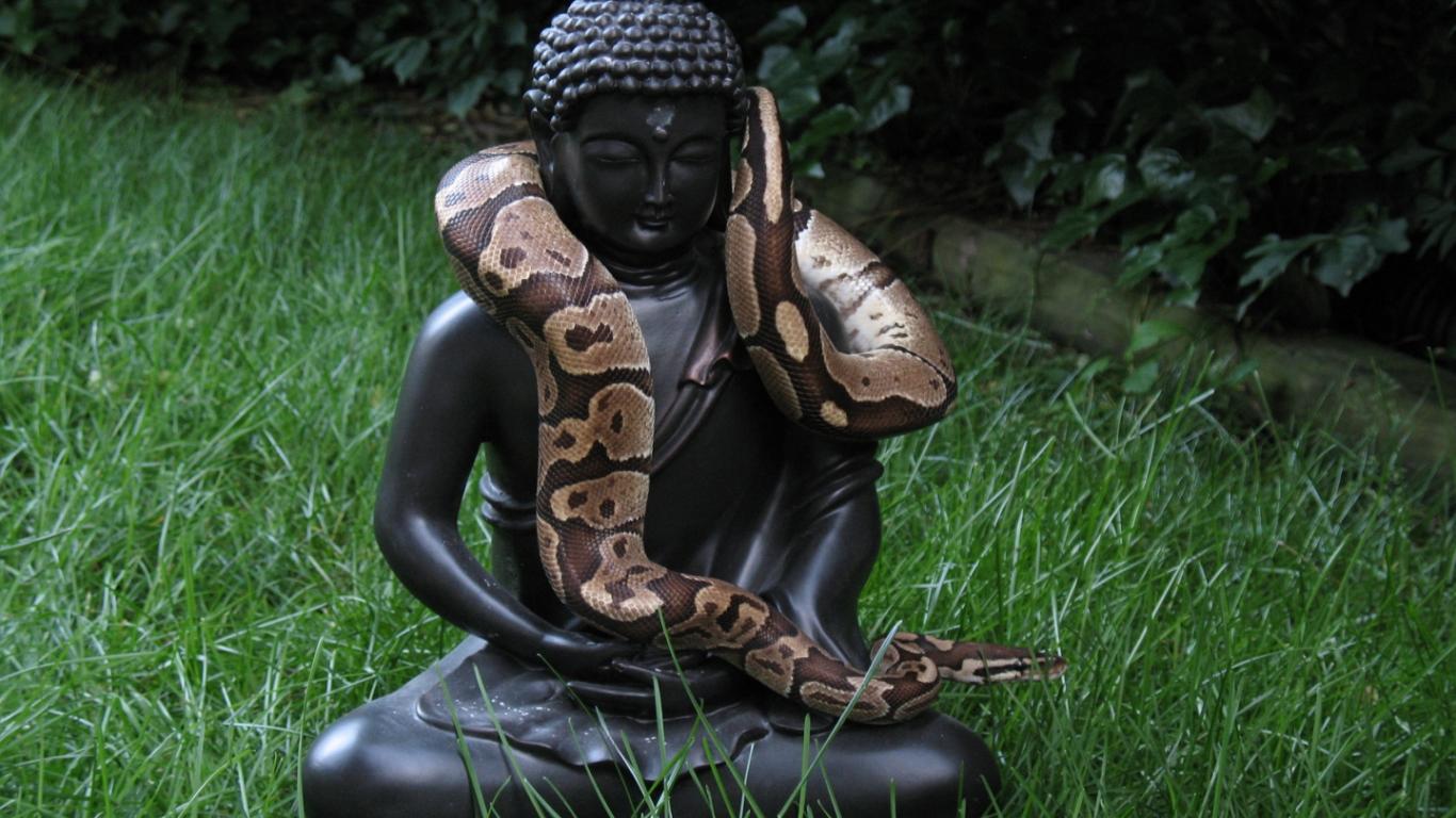 Buddha Wallpaper Images - Buddha And Snake - HD Wallpaper 