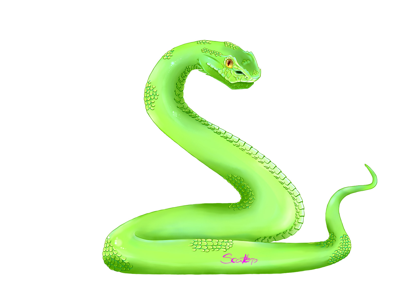 King Cobra - HD Wallpaper 