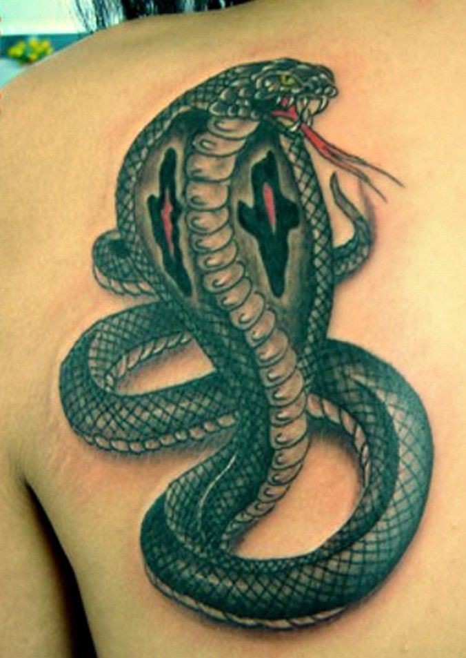 Attractive 3d Cobra Snake Tattoo On Left Back Shoulder - Tattoo Cobra Snake - 676x953 Wallpaper Attractive 3d Cobra Snake Tattoo On Left Back Shoulder - Tattoo Cobra Snake - 676x953 Wallpaper